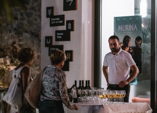 Fotografija 9 - Završile ljetne filmske večeri na Baroneu: Domaći film Murina napunio gledalište do zadnjeg mjesta