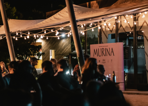 Završile ljetne filmske večeri na Baroneu: Domaći film Murina napunio gledalište do zadnjeg mjesta