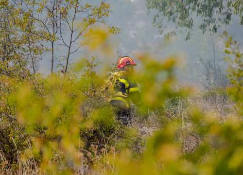 Nema predaha za vatrogasce: Jučer gasili požare na šest mjesta u zaleđu županije
