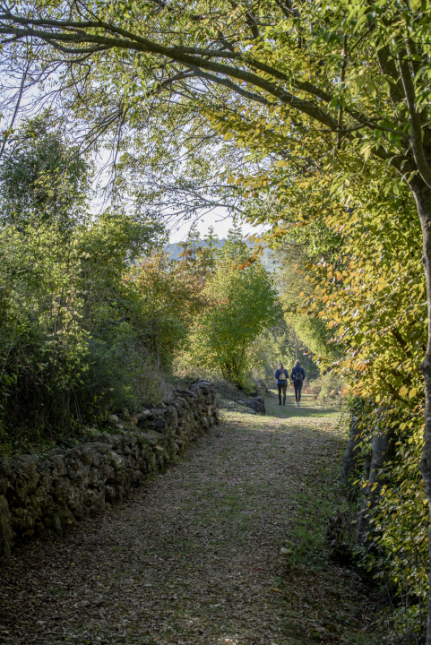 Rujan je za Krku! U tjednu kretanja ulaznice za staze uz Krku po jeftinijim cijenama, evo svih detalja