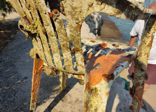 Fotografija 8 - Dva kamiona smeća manje u Jadranu, edukacija i zabava: U Murteru održan vikend posvećen moru