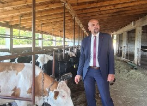 Fotografija 16 - Župan Marko Jelić obišao poljoprivrednike u Biskupiji, Erveniku i Kistanjama