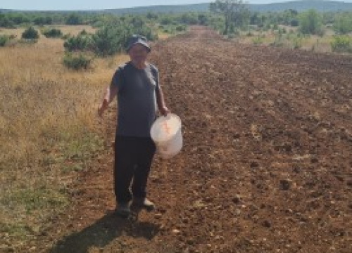 Fotografija 3 - Župan Marko Jelić obišao poljoprivrednike u Biskupiji, Erveniku i Kistanjama