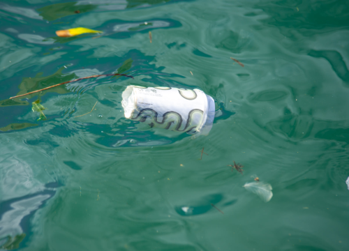 Zabrana vrećica prvi korak u spašavanju Jadrana: Naše je more jako zagađeno, ali ima načina kako mu pomoći