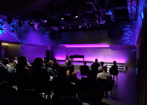 Fotografija 2 - Na pozornici u kući umjetnosti Arsen oživjele lutke Mladena Kušeca