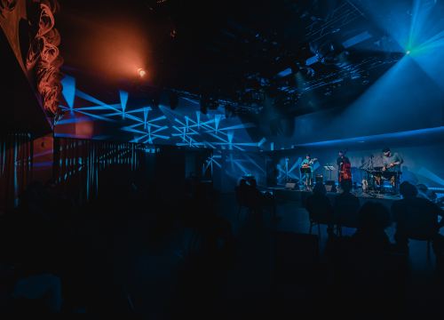 Fotografija 2 - 'Ljubav bez kuće': Jelena Radan u Kući umjetnosti Arsen otvara glazbeni jesenski program