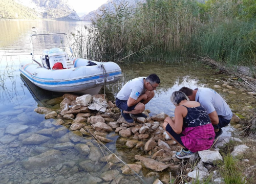U NP Krka tijekom rujna pratili prisutnost vidre: Evo što su saznali o toj strogo zaštićenoj vrsti
