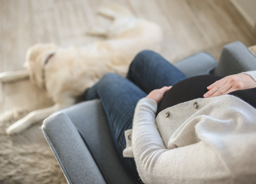 Istraživanje: Cjepivo protiv covida ne utječe na plodnost, ali zaraza virusom bi mogla