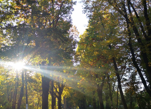 Fotografija 3 - Bukurešt- četiri dana, 2220 kuna: Pariz istoka itekako vrijedi posjetiti, pogotovo kad avionsku kartu platite 8 eura