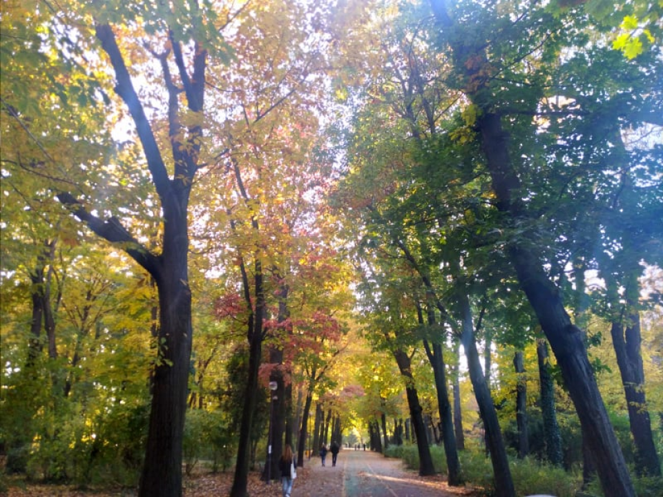 Bukurešt- četiri dana, 2220 kuna: Pariz istoka itekako vrijedi posjetiti, pogotovo kad avionsku kartu platite 8 eura