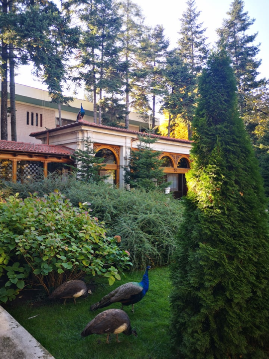 Bukurešt- četiri dana, 2220 kuna: Pariz istoka itekako vrijedi posjetiti, pogotovo kad avionsku kartu platite 8 eura