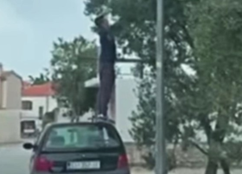 Hit video snimljen u Murteru: Inovativno branje maslina nasmijalo 'cijeli Facebook'