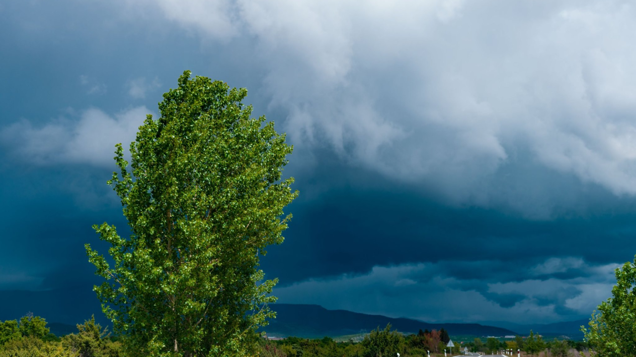 Idete na put? U unutrašnjosti magla smanjuje vidljivost, ceste su mokre i skliske, brojne brodske linije u prekidu
