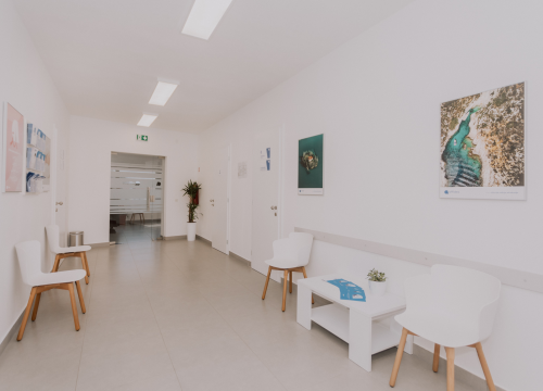 Fotografija 14 - Zagrijte se vrhunskim sarmama u Antinom guštu!