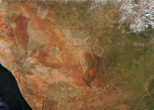 Sadi se 8000 kilometara duga šuma koja će spriječiti širenje Sahare, bit će najveća na planeti