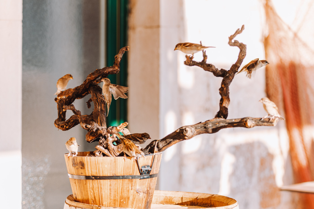 Iskoristite akciju u VBR-u: Sva keramika na lageru snižena je od 20 do 40 posto!