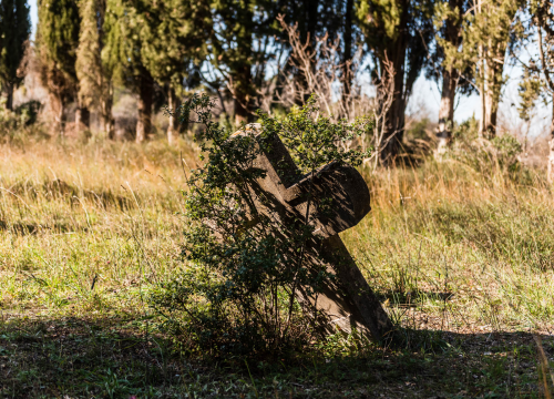 Fotografija 11 - 'To groblje je poput Pandorine kutije, bila je i njemačka krim policija': Na Raskrižju su posljednje počivalište našli i partizani i fašisti