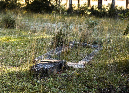 Fotografija 16 - 'To groblje je poput Pandorine kutije, bila je i njemačka krim policija': Na Raskrižju su posljednje počivalište našli i partizani i fašisti