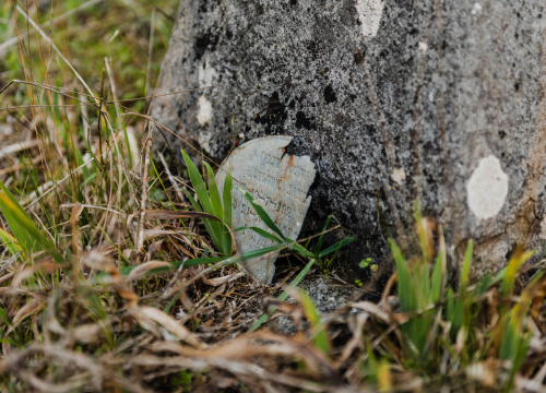Fotografija 19 - 'To groblje je poput Pandorine kutije, bila je i njemačka krim policija': Na Raskrižju su posljednje počivalište našli i partizani i fašisti
