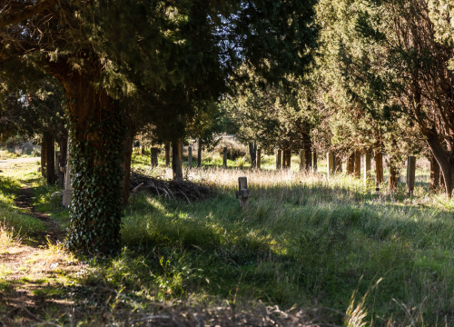 Fotografija 24 - 'To groblje je poput Pandorine kutije, bila je i njemačka krim policija': Na Raskrižju su posljednje počivalište našli i partizani i fašisti