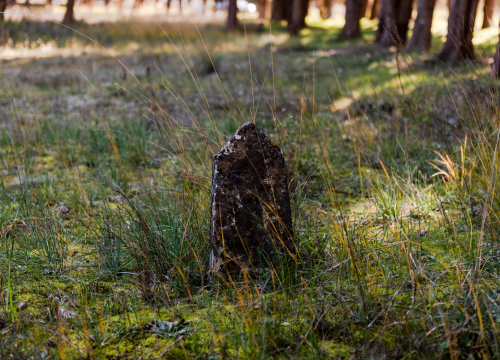 Fotografija 34 - 'To groblje je poput Pandorine kutije, bila je i njemačka krim policija': Na Raskrižju su posljednje počivalište našli i partizani i fašisti