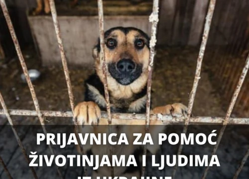 Ukrajini pomažu i udruge za životinje: Ako se želite uključiti, ispunite prijavnicu