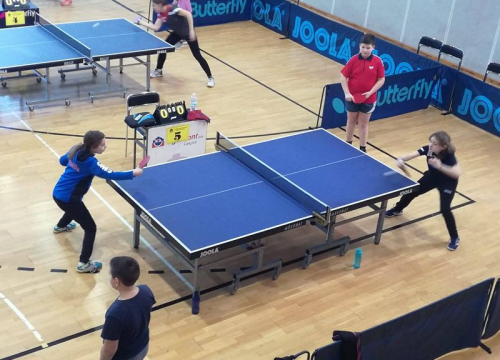 Prvo mjesto za Anđelu Živković, treća mjesta za Loretu Mandić i Franku Miškić