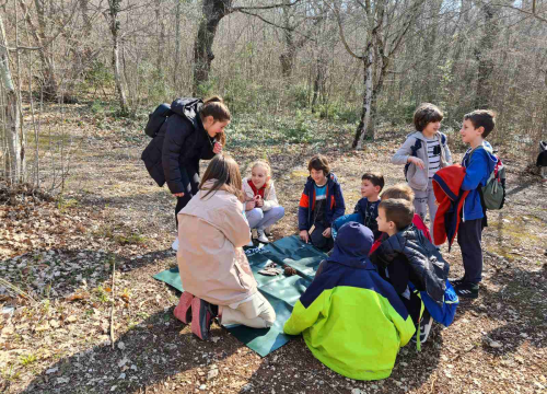 Fotografija 5 - Svjetski dan šuma aktivno obilježen u NP Krka: Na Stinicama održana radionica za djecu