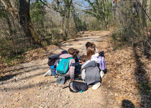 Fotografija 3 - Svjetski dan šuma aktivno obilježen u NP Krka: Na Stinicama održana radionica za djecu