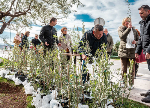 Fotografija 18 - Podjelom sadnica masline i čitanjem poezije na šibenskoj rivi obilježen 100. rođendan Vesne Parun