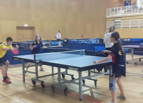 Fotografija 2 - Veliki uspjeh Stolnoteniskog kluba Šibenik i Anđele Živković na Prvenstvu Hrvatske