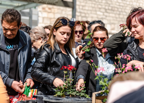 Fotografija 1 - Preko 2000 cvjetnih sadnica podijeljeno na Poljani dok si rekao 'điran'