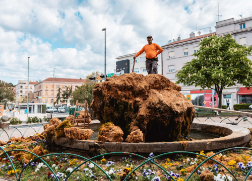 Fotografija 1 - Uklonjen dio sedre kojemu je prijetilo urušavanje: Opet će zazeleniti, a kornjače dobivaju sunčalište