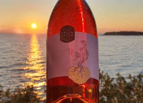 Fotografija 8 - Iskoristite priliku za besplatan prijevoz mini busom u petak na Danima otvorenih kušaonica!