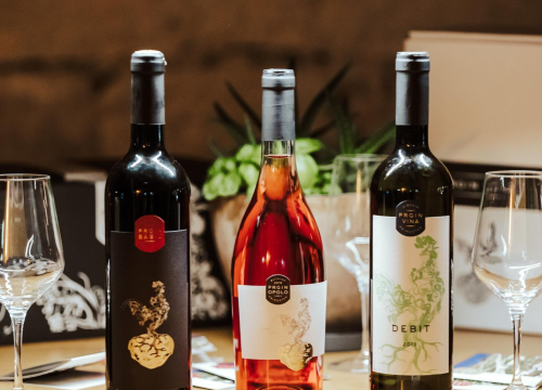 Fotografija 10 - Iskoristite priliku za besplatan prijevoz mini busom u petak na Danima otvorenih kušaonica!