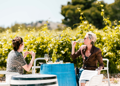 Fotografija 15 - Iskoristite priliku za besplatan prijevoz mini busom u petak na Danima otvorenih kušaonica!