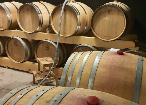 Fotografija 5 - Iskoristite priliku za besplatan prijevoz mini busom u petak na Danima otvorenih kušaonica!