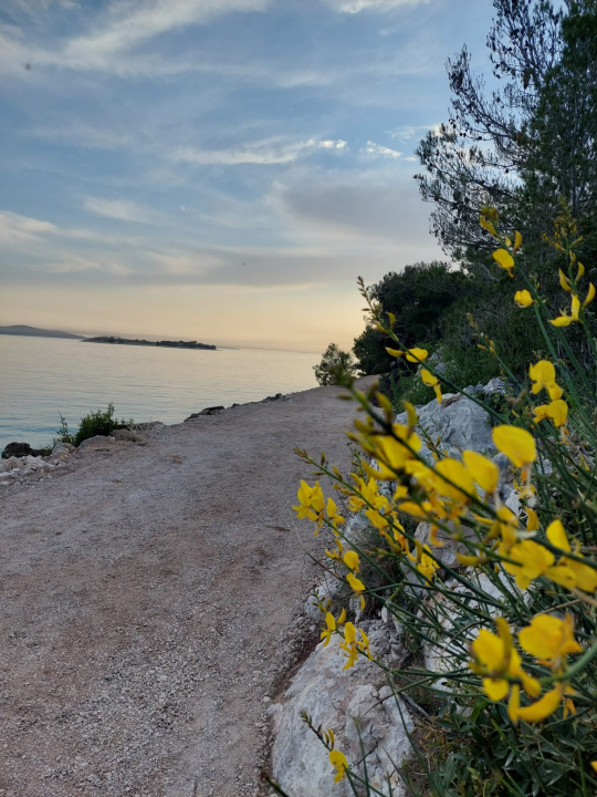 Šetnica Zamalin-Sovlje zasjala u novom ruhu: 'Bacite đir i ostavite koju lijepu fotografiju u komentarima'