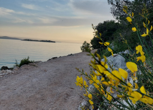 Fotografija 6 - Šetnica Zamalin-Sovlje zasjala u novom ruhu: 'Bacite đir i ostavite koju lijepu fotografiju u komentarima'