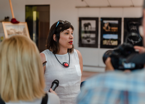 Fotografija 6 - Slika stara preko 140 godina stigla u šibensku knjižnicu: 'Ovo djelo kulturološki obogaćuje povijesnu priču našeg grada'