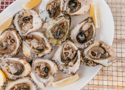 Fotografija 6 - Posjetite novootvorenu kušaonicu školjaka i vina Oyster22!