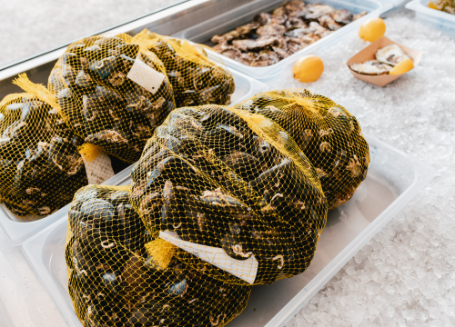 Fotografija 17 - Posjetite novootvorenu kušaonicu školjaka i vina Oyster22!