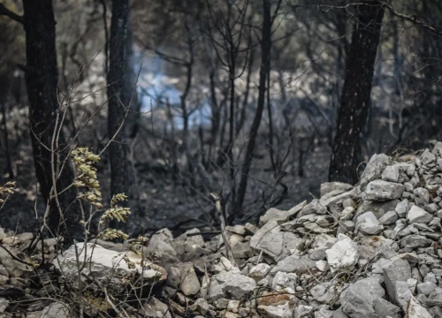 Lani u požarima poginulo 19 osoba, ove godine 26