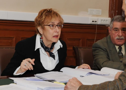 Sud odredio jednomjesečni pritvor za Maju Šupe, Zmijanovića i Petrovića