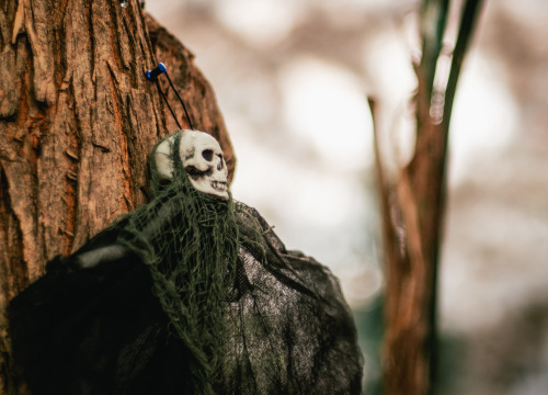 U Šibeniku sutra možete na zabavu za Halloween ili na molitvu na Holywin