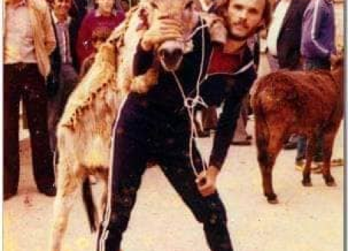 Fotografija 5 - Paško je ljubav prema magarcima pretvorio u obiteljski posao: 'Kćer će mi biti dostojna zamjena na utrkama'