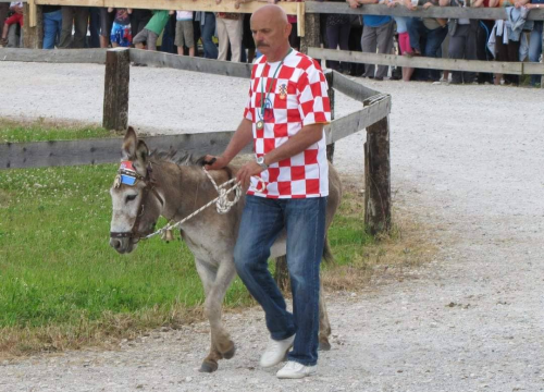 Fotografija 10 - Paško je ljubav prema magarcima pretvorio u obiteljski posao: 'Kćer će mi biti dostojna zamjena na utrkama'