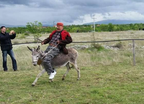 Fotografija 8 - Paško je ljubav prema magarcima pretvorio u obiteljski posao: 'Kćer će mi biti dostojna zamjena na utrkama'