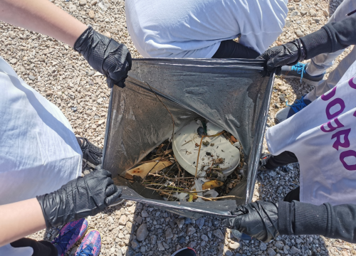 Fotografija 4 - Koordinatorica volontera Sanja Barišić: 'Veseli me kada se vrate s pričom da napokon znaju s čim se žele baviti u životu'