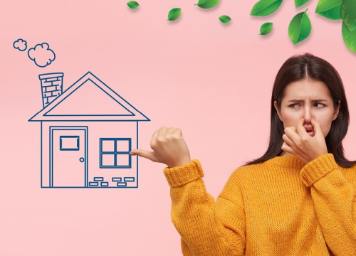 Vlaga i plijesan opasni su za zdravlje: Evo kako ih spriječiti!